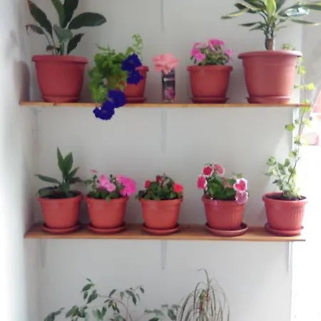 Apartman Denim